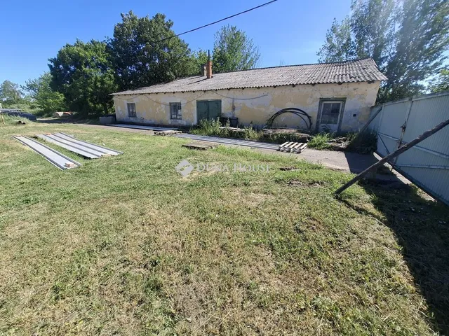 Eladó mezőgazdasági ingatlan Kiskunfélegyháza 245 nm