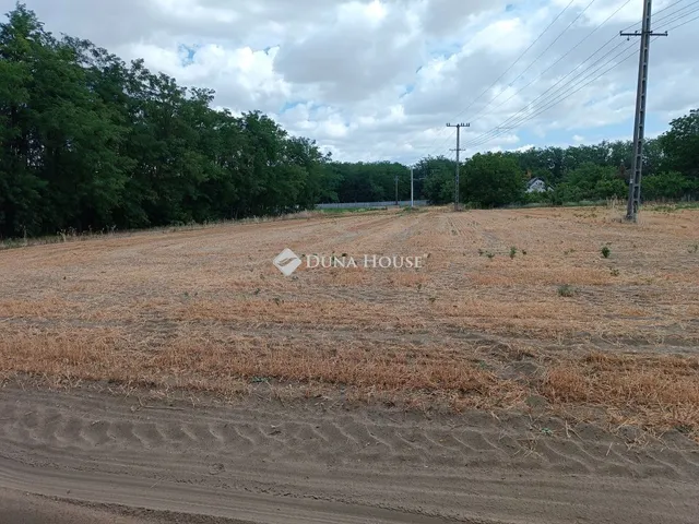Eladó telek Kiskunfélegyháza, Felsőgalambos 1. dűlő 8530 nm