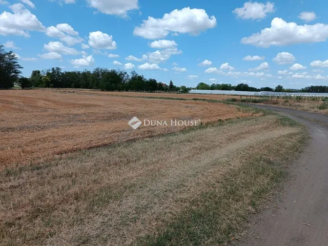 Eladó telek Kiskunfélegyháza 10066 nm
