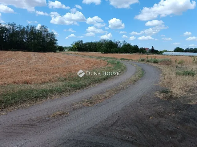 Eladó telek Kiskunfélegyháza, Felsőgalambos 3. dűlő 10066 nm