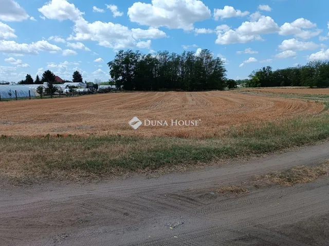 Eladó telek Kiskunfélegyháza, Felsőgalambos 3. dűlő 10066 nm