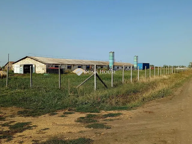 Kiadó mezőgazdasági ingatlan Sárrétudvari 1000 nm