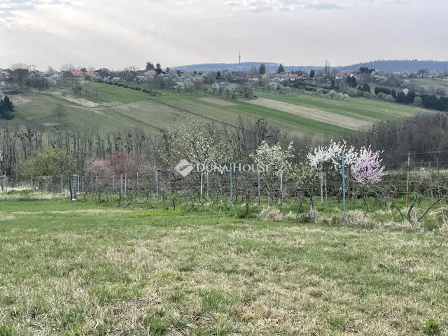 Eladó telek Zalaegerszeg 4139 nm