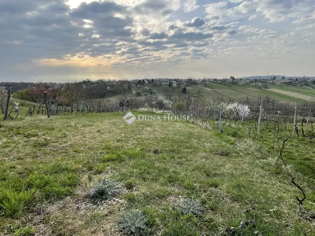 Eladó telek Zalaegerszeg 4139 nm