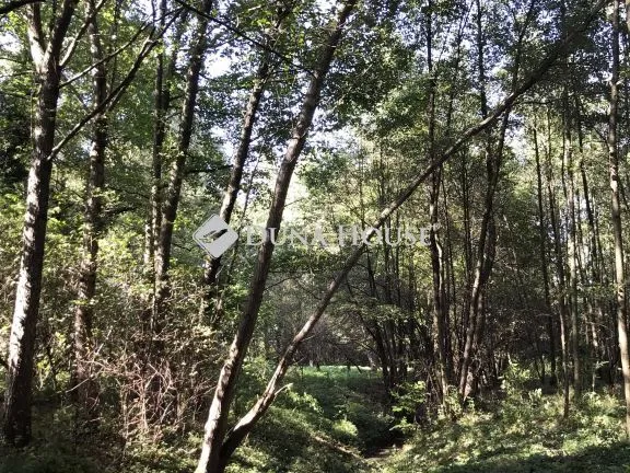Eladó telek Bagod, Vitenyédi utca 3900 nm