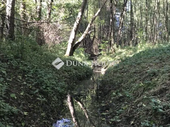 Eladó telek Bagod, Vitenyédi utca 3900 nm