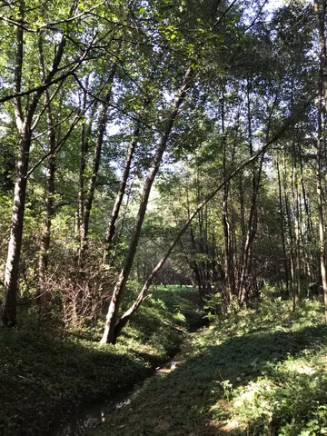 Eladó telek Bagod, Vitenyédi utca 3900 nm