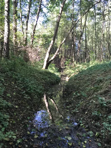 Eladó telek Bagod, Vitenyédi utca 3900 nm