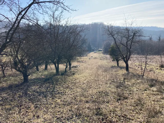 Eladó telek Zalaegerszeg 2237 nm