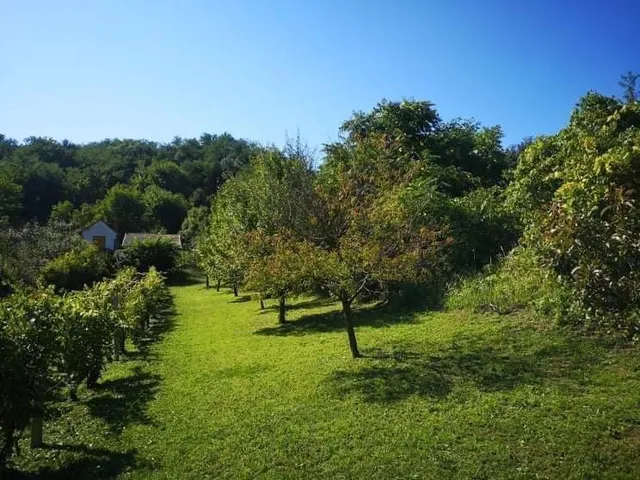 Eladó telek Zalaegerszeg 1384 nm