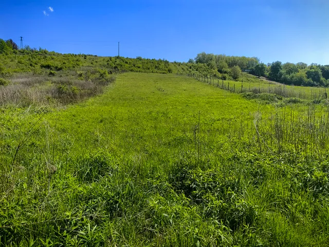 Eladó telek Zalaegerszeg 5705 nm