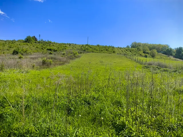 Eladó telek Zalaegerszeg 5705 nm