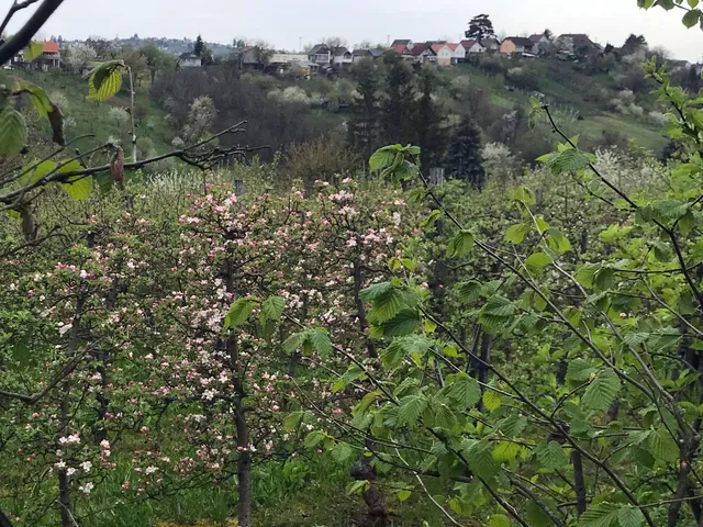 Eladó telek Zalaegerszeg 3368 nm