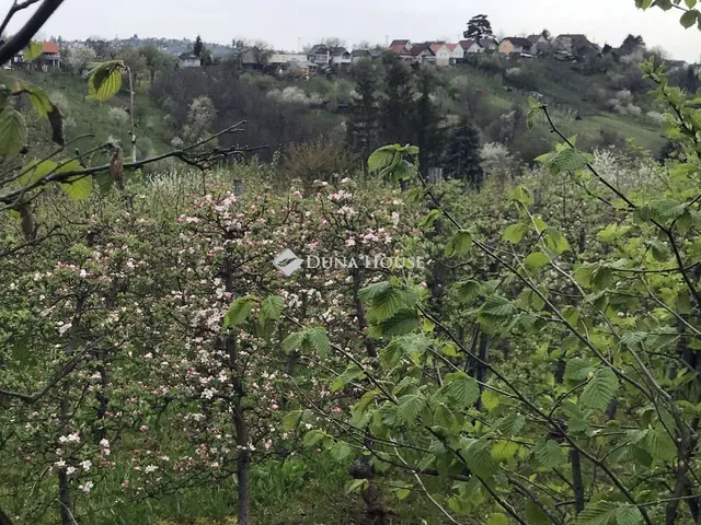 Eladó telek Zalaegerszeg 3368 nm