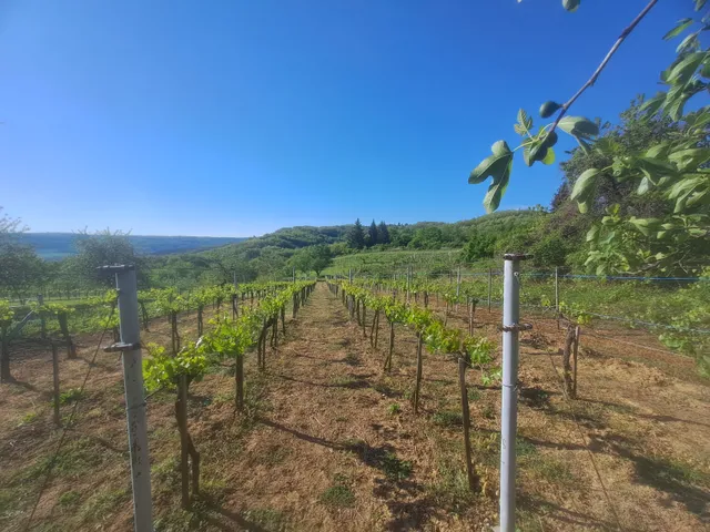 Eladó telek Zalaistvánd 1407 nm