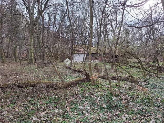 Eladó telek Páka, Táncsics Mihály utca 2044 nm