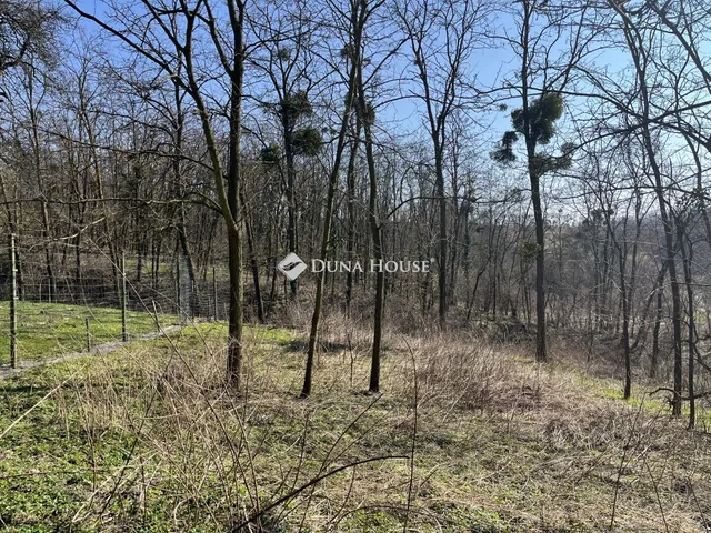 Eladó telek Bocfölde 928 nm