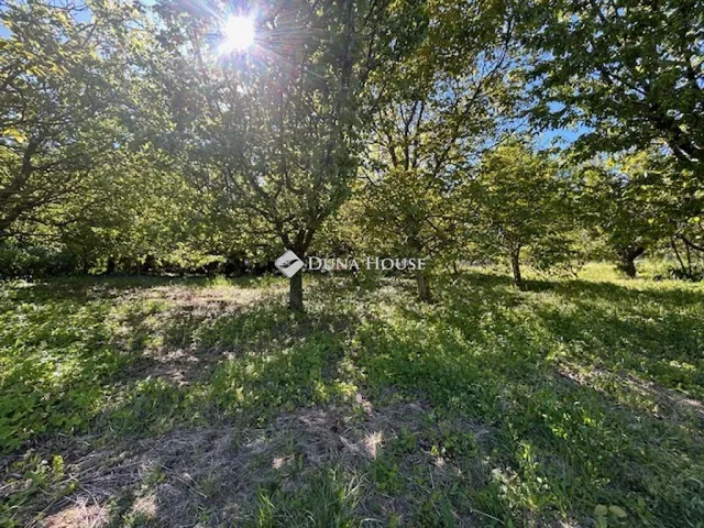 Eladó telek Zalaegerszeg 2597 nm
