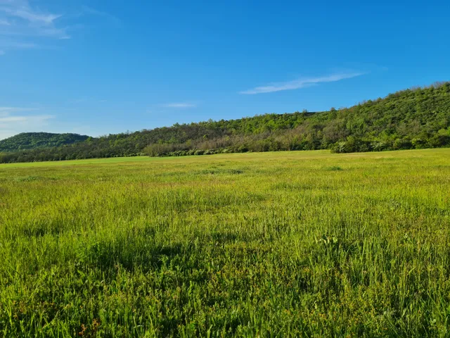 Eladó telek Kesztölc 30259 nm