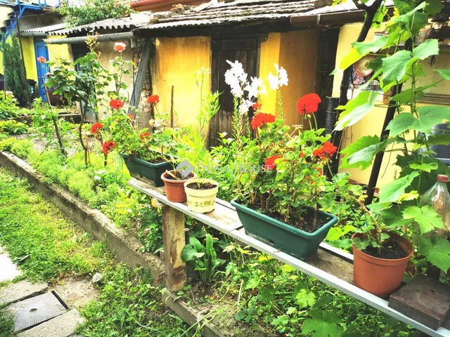 Eladó ház Esztergom, Mikszáth Kálmán utca 82 nm