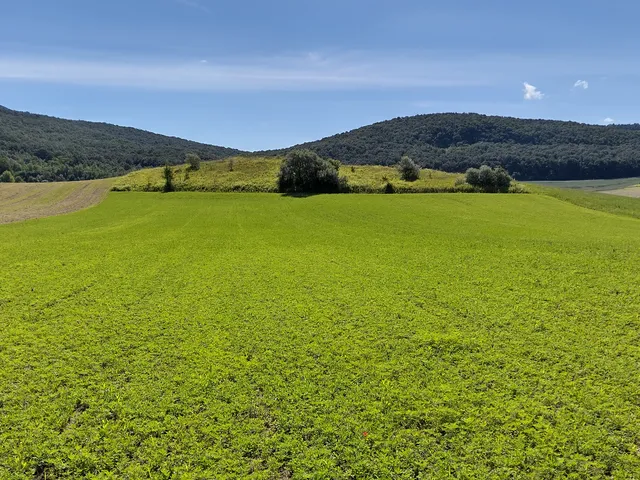 Eladó telek Piliscsév 22395 nm