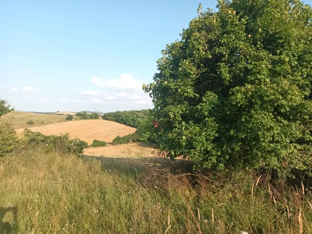 Eladó telek Nagysáp 1014 nm