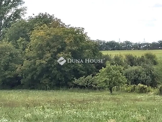 Eladó telek Vértesszőlős, Baromállási dűlő 5164 nm