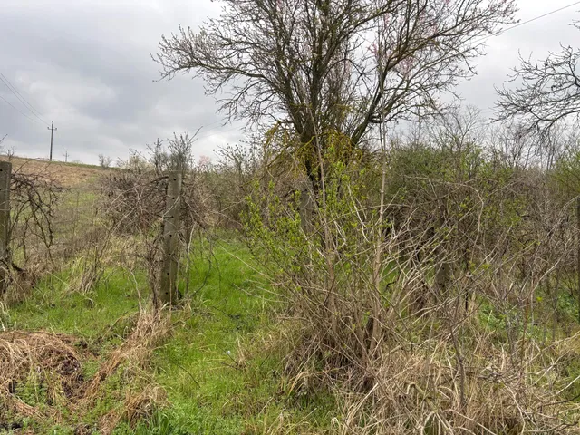 Eladó mezőgazdasági ingatlan Tokod 1165 nm