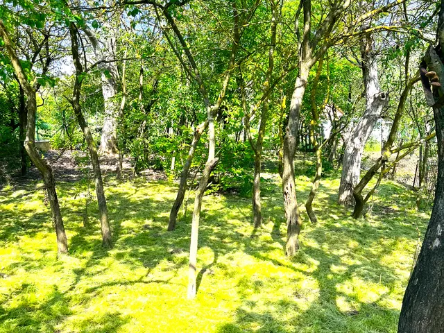 Eladó ház Úny 81 nm