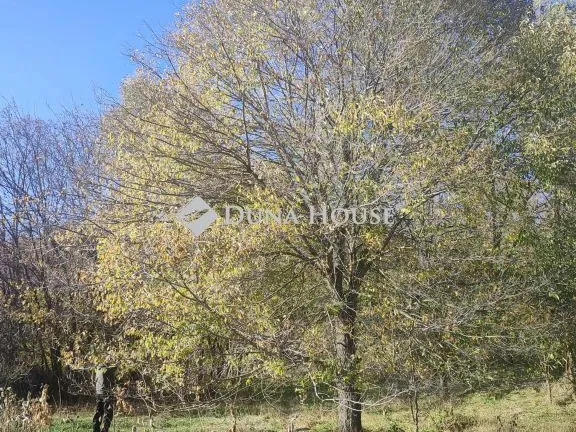 Eladó telek Nyáregyháza 2974 nm