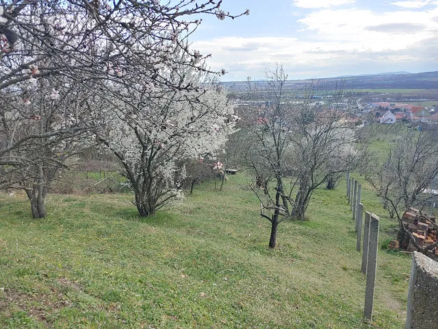 Eladó telek Pécs, Makratető dűlő 1009 nm