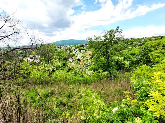 Eladó telek Pécs 3500 nm