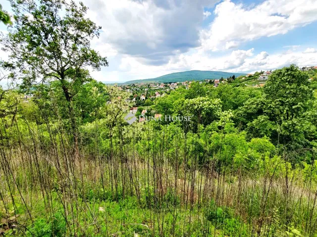 Eladó építési telek, Pécs - 4. nézet