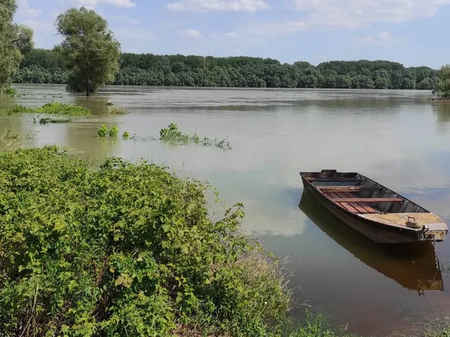 Eladó ház Dunaszekcső 36 nm