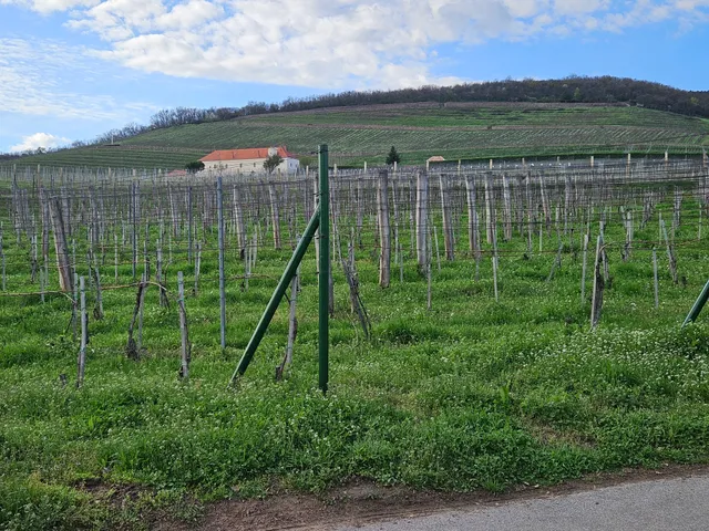 Eladó telek Pécs 2070 nm