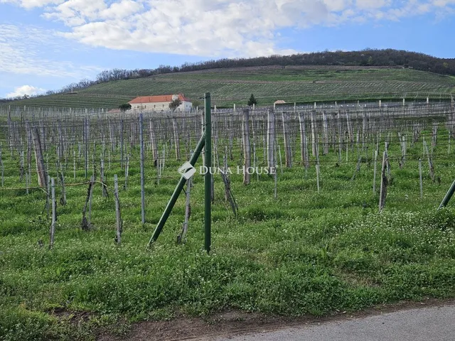 Eladó telek Pécs 2070 nm