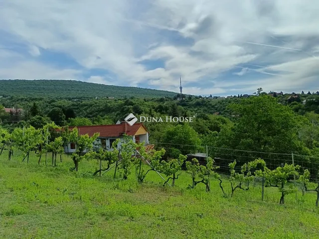 Eladó telek Pécs, Szurdok köz 1024 nm
