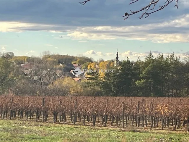 Eladó üdülő és hétvégi ház Györköny, Alkotmány utca 101 nm