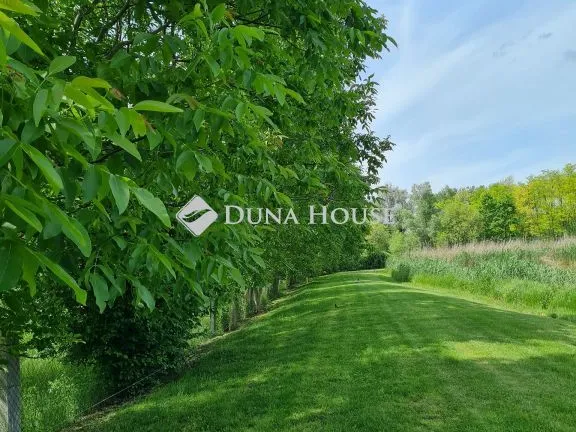 Eladó telek Bóly 20000 nm