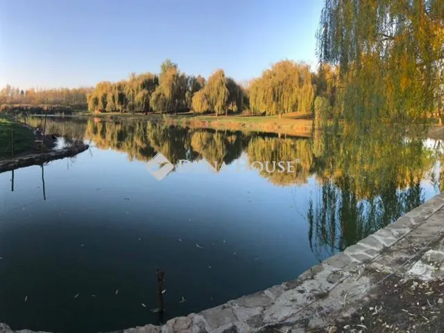 Eladó telek Bóly 20000 nm