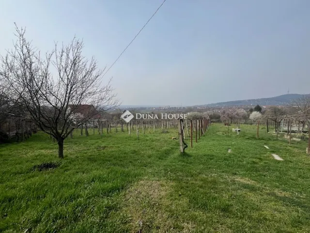 Eladó telek Pécs, Szénispán útja 1445 nm