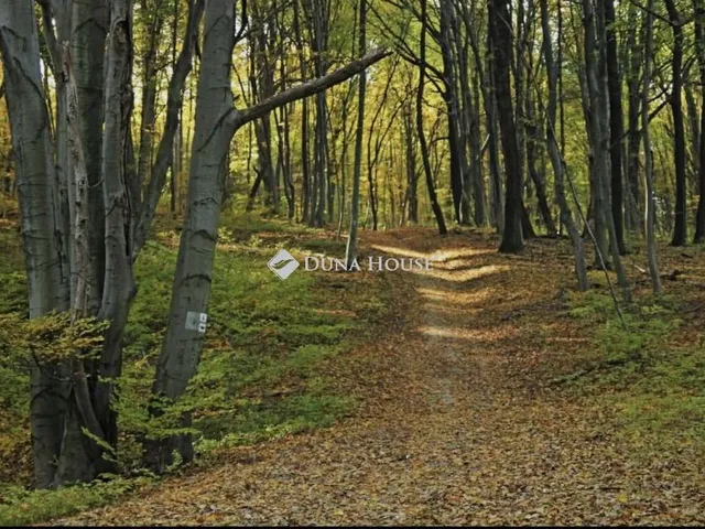 Eladó telek Abaliget 51583 nm