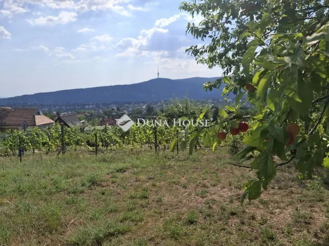 Eladó telek Pécs, Cserbokros dűlő 1096 nm