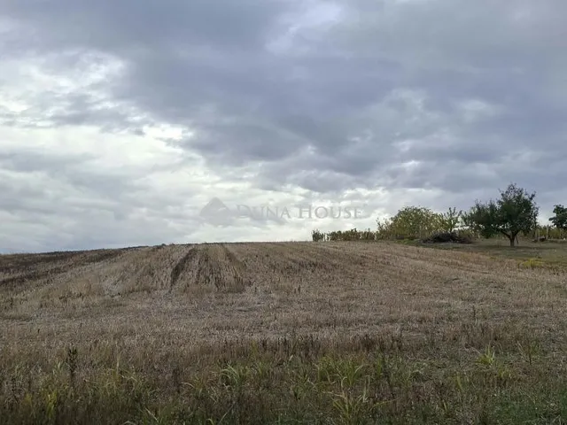Eladó telek Birján, Nincs utca 4310 nm