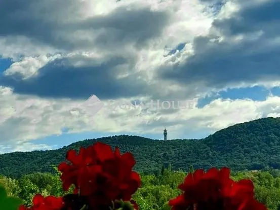 Eladó ház Budapest III. kerület 186 nm