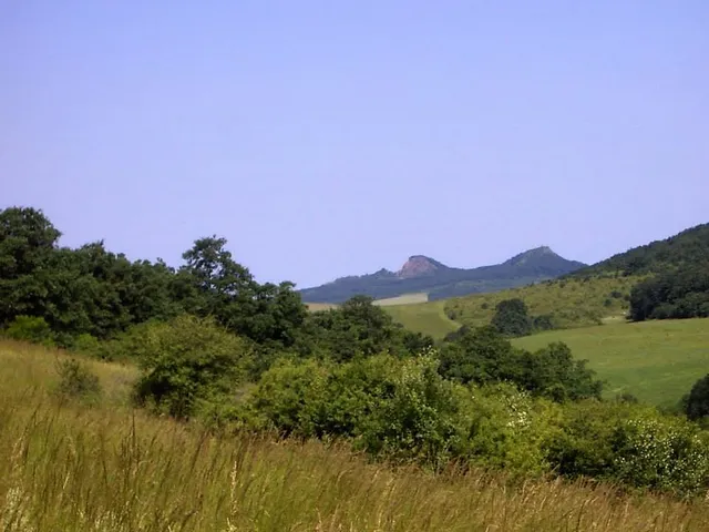 Eladó telek Bér 800 nm