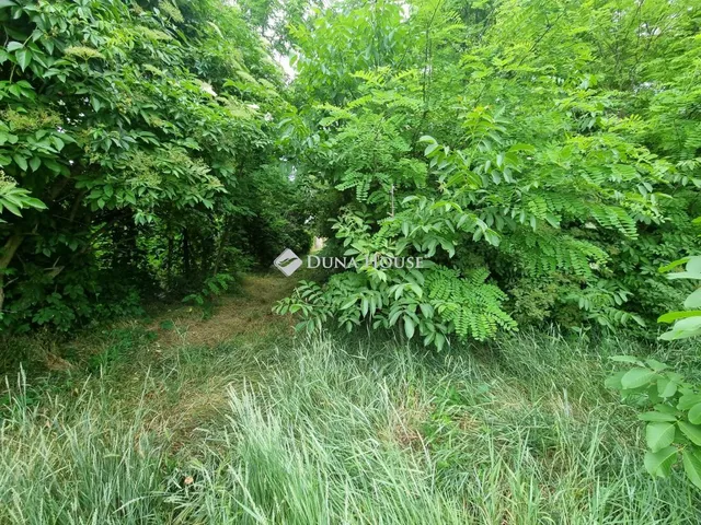 Eladó telek Dabas 6880 nm
