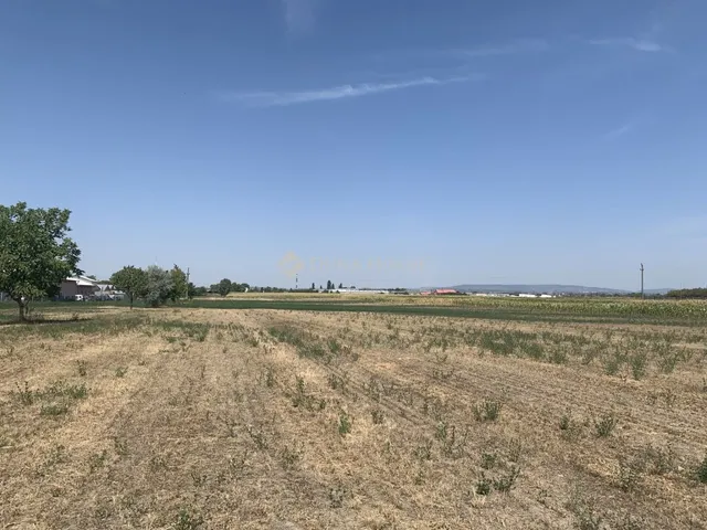 Eladó telek Szigetszentmiklós 14022 nm