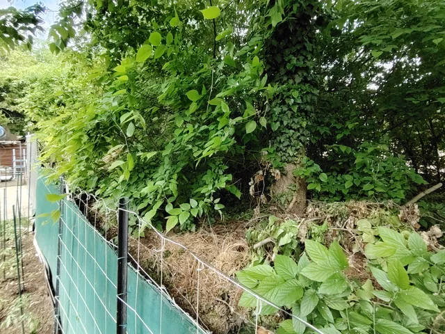 Eladó telek Szigetszentmiklós 300 nm