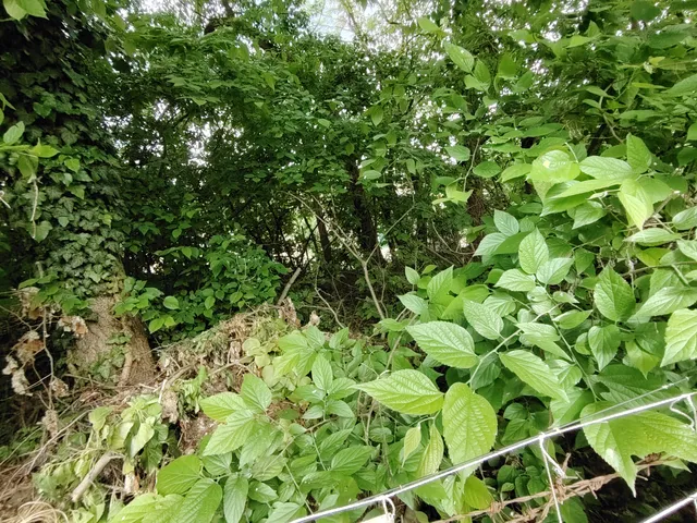 Eladó telek Szigetszentmiklós 300 nm